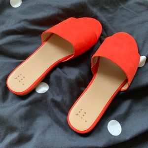 A New Day orange slides